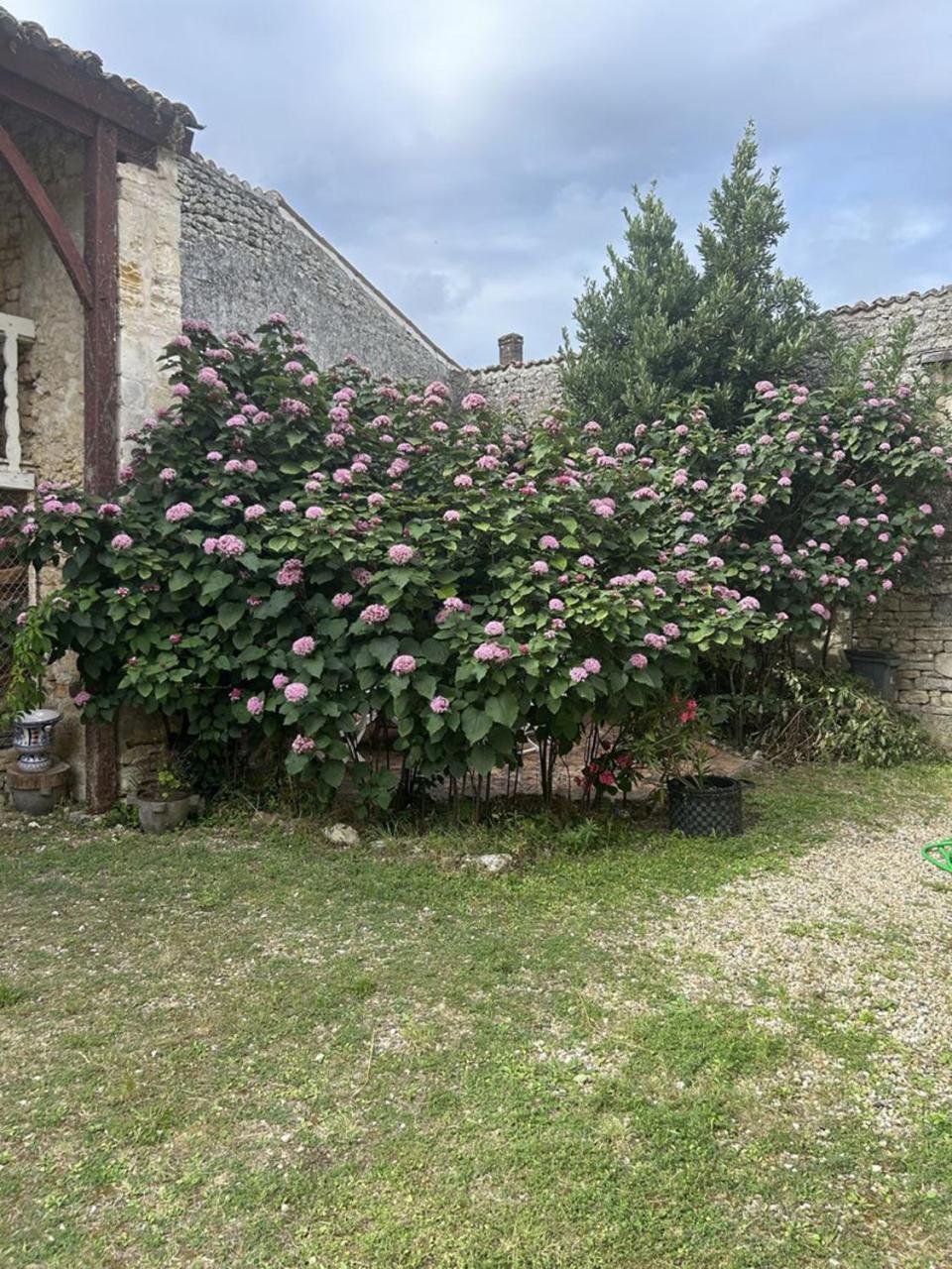 Chambres Et Table D'Hotes Maison Garesche Nieulle-sur-Seudre Екстериор снимка